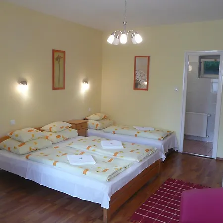 Kincses Vendeghaz Gasthuis Debrecen